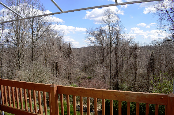 Home for Rent in Sparks - Old Forge Garth, Sparks, MD 21152