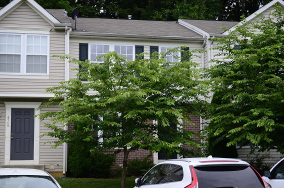 Home for Rent in Aberdeen - Coralberry Court, Aberdeen, MD 21001