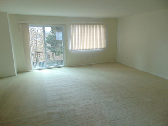 Home for Rent in Owings Mills - Wellspring Circle, Owings Mills, MD 21117