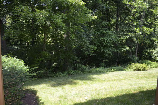 View - 9411 Hickory Limb Drive, Columbia, MD 21045