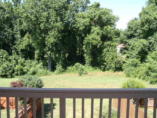 Backyard - Elkwood Court, Arnold, MD 21012