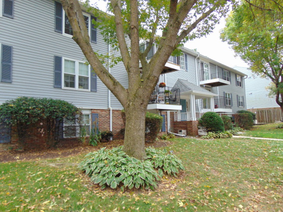 Pasadena Home for Rent - 3503 Davenport Court, Pasadena, MD 21122